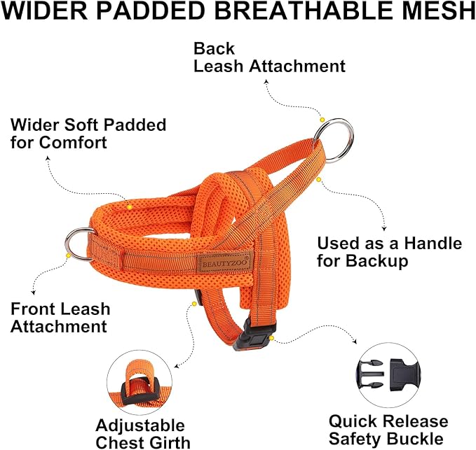 BEAUTYZOO Dog Harness for Small Dogs, No Pull Dog Harness and Leash Set, Escape Proof Puppy Vest Harness with Handle, Reflective Breathable Mesh Padded Harness for Girl Boy Dogs, Orange XXS