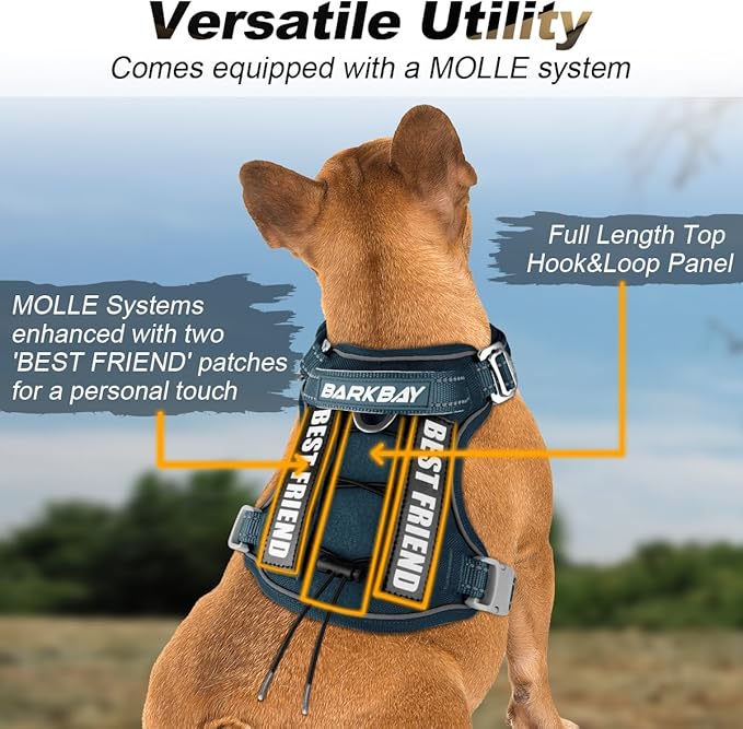BARKBAY Service Dog Vest Tactical Dog Harness Medium Large Sized Dog Tags Personalized No Pull Adjustable Harness Reflective Working Training Easy Control Military Molle System(Legion Blue,M)
