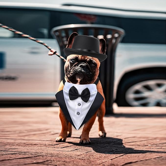 Yewong 2 Pieces Pet Formal Accessories Set - Pet Top Hat with Formal Pet Tuxedo Bandana Collar Birthday Party Gradation Halloween Costumes Accessories for Dog Cat (Set-B) One Size