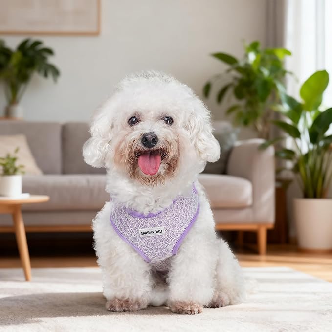 No Pull Dog Vest Harness for Small&Medium Dogs, Side Clip Adjustable Pet Vest, Soft Breathable, Fashion Dog Harnesses for Walking, Running, Shopping (Purple, XS)