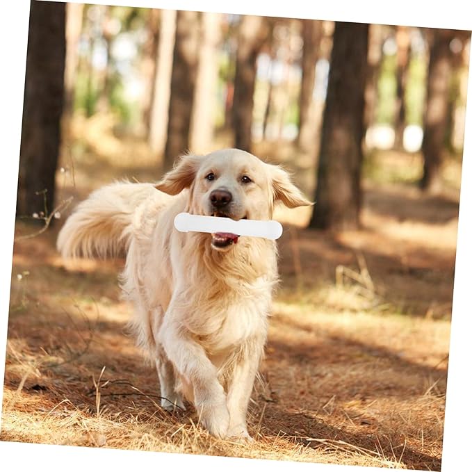 BESPORTBLE Scent Training Tool for Dog Agility and Nose Work Scent Stick for Versatile Dog Training Search Detection