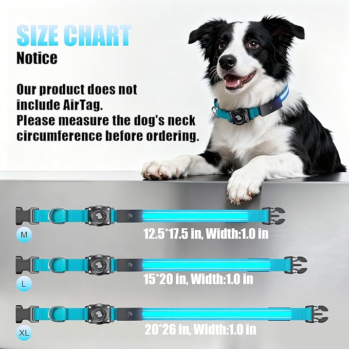 LED AirTag Dog Collar - Brightest Light Up Dog Collars - IP68 Waterproof Air Tag Dog Collar Holder - 1,600 Feet of High Visibility - Magnetic Charging - Dog Lights for Night Walking, Blue L