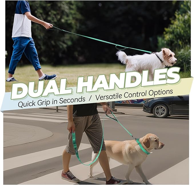 VIVAGLORY Twingrip Dog Leash, Double Handle Dog Leash for Training & Walking with Traffic Handle & 2 Loop, Traffic Control Reflective Heavy Duty for Puppy Pet, 4ft x 1/2in, Turquoise