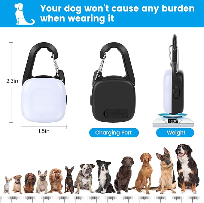 Dog Collar Light, 2 Pack Rechargeable Dog Light Clip On, 80LM Brightness 4 Color Modes Dogs Lights for Night Walking, Waterproof Pet Camping Essentials for Running, Cycling, Hiking (Black)