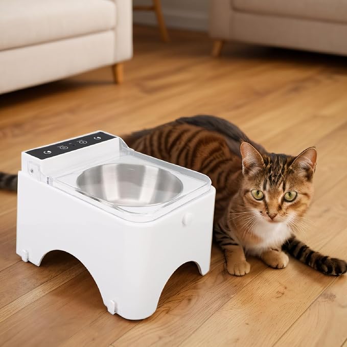 Automatic Cat Feeder, Induction Lid Opening Smart Dog Cat Bowl Prevent Food Pollution Pet Food Dispenser, Cat Automatic Sensing Feeder with Transparent Lid, Cat Food Dispenser