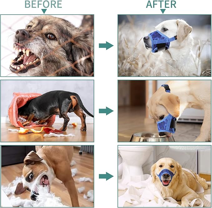 HEELE Dog Muzzle,Soft Nylon Muzzle Anti Biting Barking Chewing,Air Mesh Breathable Drinkable Adjustable Loop Pets Muzzle for Small Medium Large Dogs 4 Colors 4 Sizes (P-Sky Blue, S)