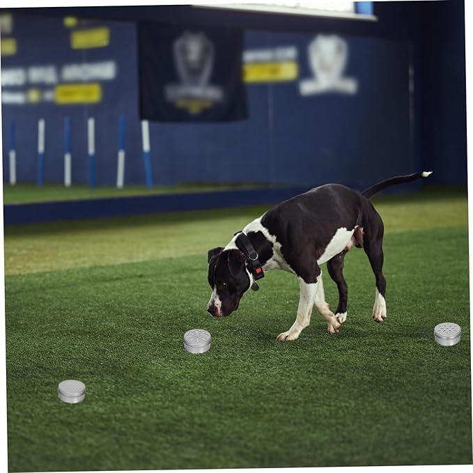 SUPVOX 1set Dog Scent Dog Scent Training Tins Adhesive Pads for Nose Training Lightweight Containers