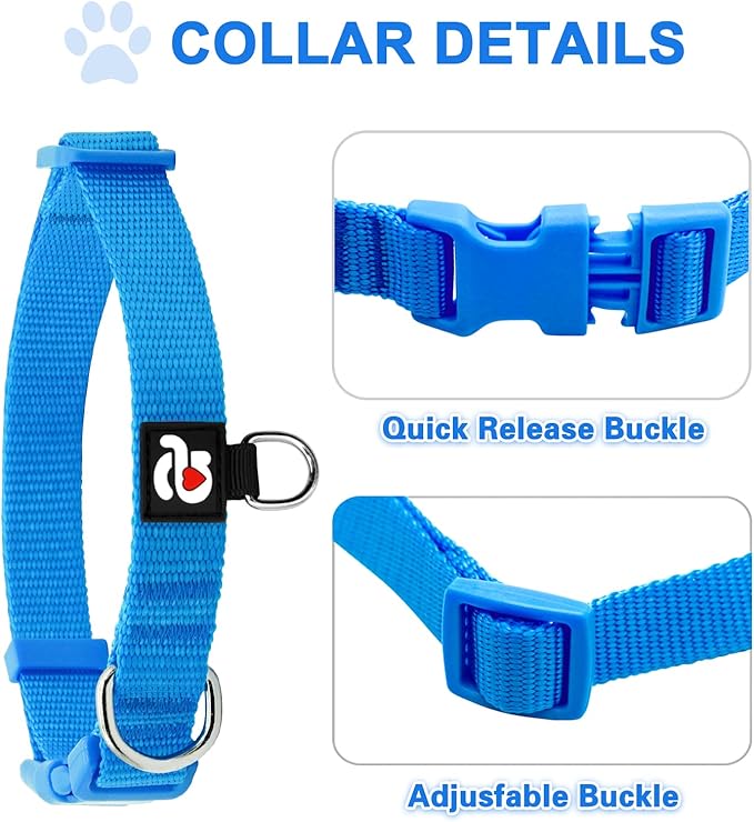 azuza 3 Pack Dog Collars Comfortable and Adjustable Nylon Dog Collars for Medium Dogs, M (14-20inch)，Green, Blue and Royal Blue