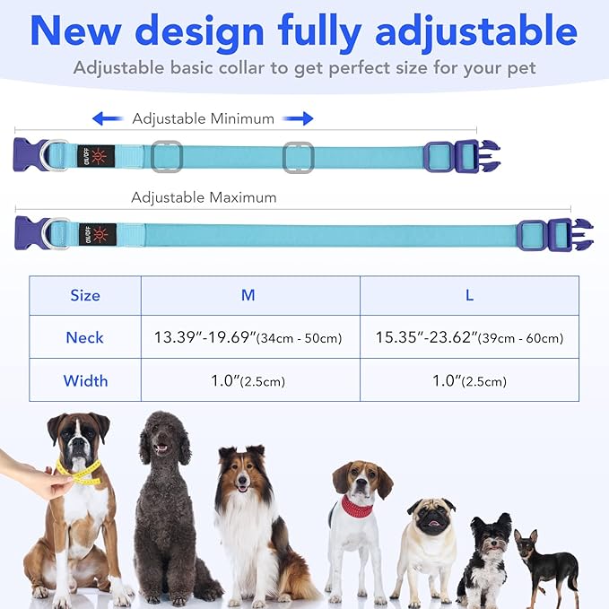 Only Half The Collar Lights LED Dog Collar Light Up Dog Collars USB Rechargeable, Adjustable Size Heavy Duty TPU Nylon Webbing Glow Safety Basic Dog Collars for Large Medium Dogs (M, Royal Blue)