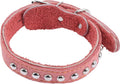 Stylish Vintage Dog Collar for Dogs Comfortable Soft Pet Neck Decor Retro Design for Daily Wear and Photo Shoots for Festivals and Events Wide Neck Ornament