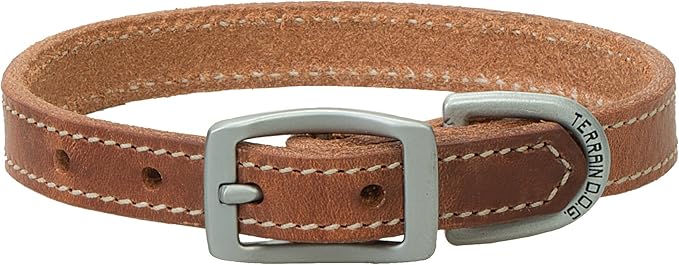 Terrain D.O.G. Harness Leather Dog Collar