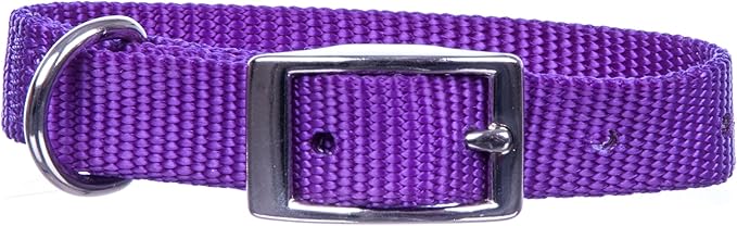 Jeffers Pet Solid Nylon Dog Collars, Purple, 5/8" W x 18" L – Adjustable, Durable & Safe for Dogs, Lightweight & Double Ply Design, Stylish Pet Accessories - Perfect for Training, Walking & Tracker