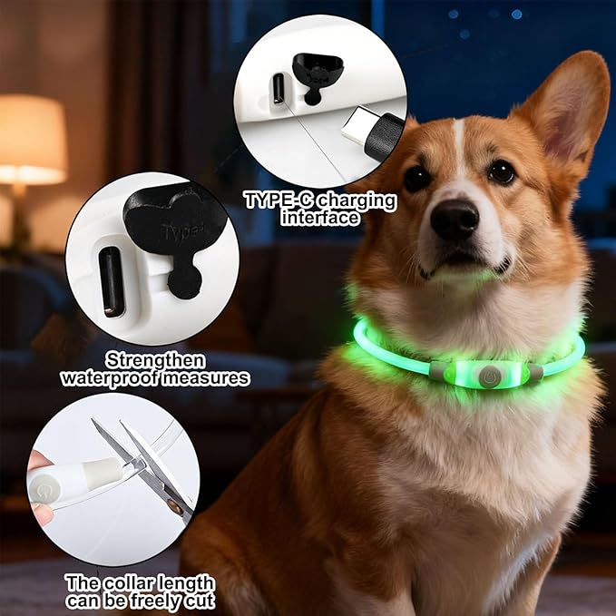 LED Light Up Dog Collar Rechargeable, Waterproof Lighted Dog Collars for Night, 4 RGB Lighting Modes, Cutable Soft Collar for Small Medium Large Dogs (White_2pcs)