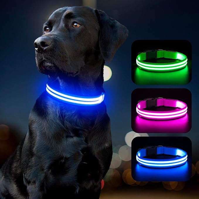 BSEEN Light Up Dog Collar - High Visibility LED Dog Collar Rechargeable Glow in The Dark Pet Collars Safety Dog Lights for Night Walking (Blue, Large)