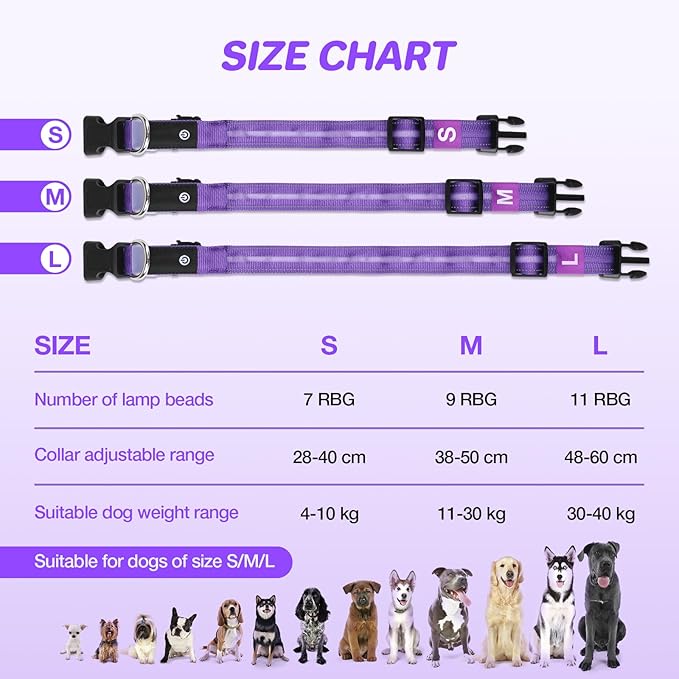 RUXAN Light Up Dog Collar,Dog Lights for Night Walking,LED Collars Waterproof,Glow Dog Collars Rechargeable,Dog Collars Light for Small,Medium,Large Dogs (Large,Purple)