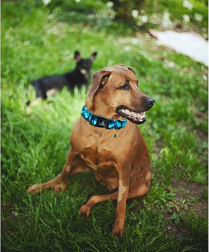 Lionheart glory Dog Collar Green Cute Collar for Small Dogs Spring Summer Female or Male Collars Pets Gift Adjustable Heavy-Duty Pet Collars