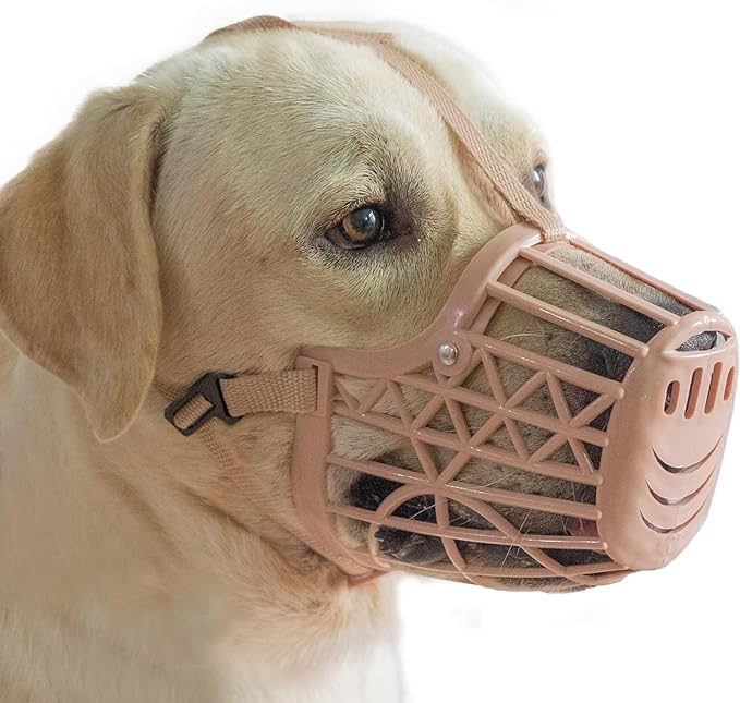 Basket Dog Muzzle for Large Medium Small Dogs, Cage Muzzles to Prevent Biting Chewing Licking Scavenging, Mouth Cover with Adjustable Strap for Vet Visits, Grooming, Walking (Size 7, Beige)
