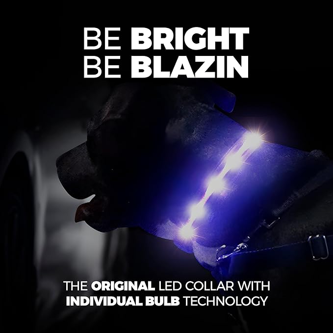 Blazin Light Up Dog Collar - The Original LED Dog Collar - USB Rechargeable - Waterproof - 1,000 Feet of Visibility - Dog Collar Light for Small, Medium, Large Dogs - USA Brand