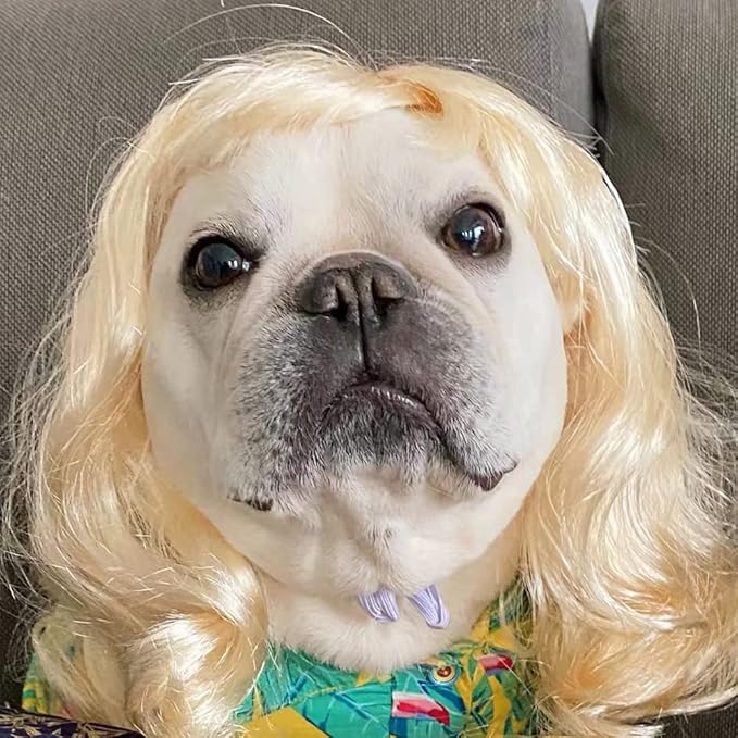 Funny Dog Cat Cosplay Wig for Halloween, Christmas, Parties, Festivals - Pet Wigs for Small, Medium and Large Dogs (Long Blonde Curly Hair)
