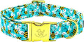 Elegant Little Tail Summer Pet Collar, Durable Bees Print Dog Collar, M, 1 Inch Width, 13.5 Inch Length, Cotton, Unique Design, Superior Durability, Perfect for Small, Medium, Large Dogs
