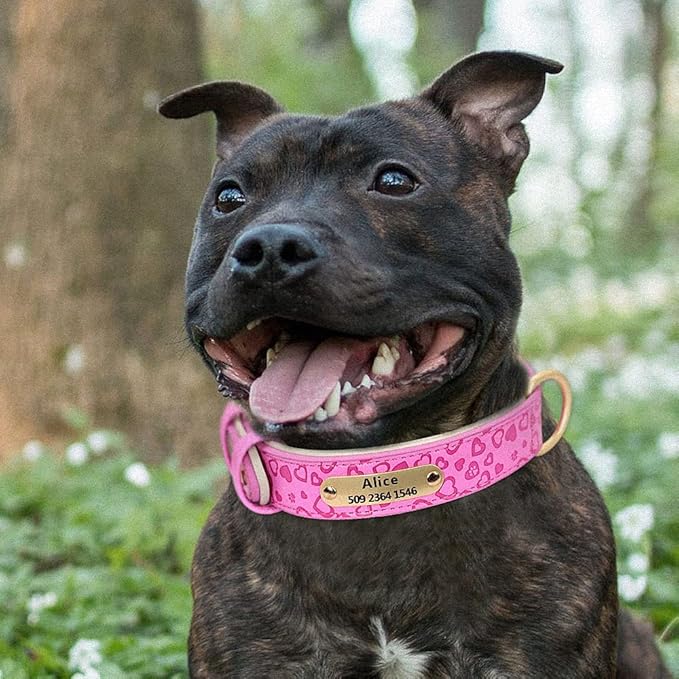 Personalized Dog Collar Soft Leather Custom Puppy Collar Printed Pitbull Collars Pets Products for Small Medium Large Dog Rose Red XL