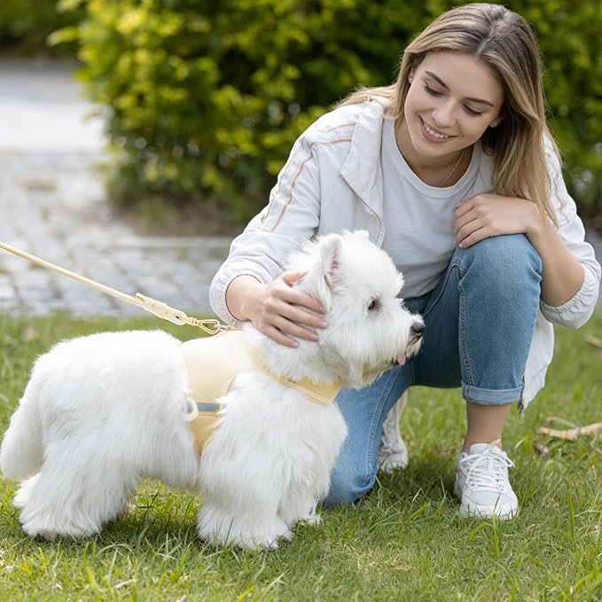 Durable Handwoven Dog Leash for Small & Medium Dogs, 5/16 inch Rope Lead with Anti-Tangle Swivel Clip, Soft & Lightweight, 5FT Long – Ideal for Daily Walking & Training (Light Yellow)