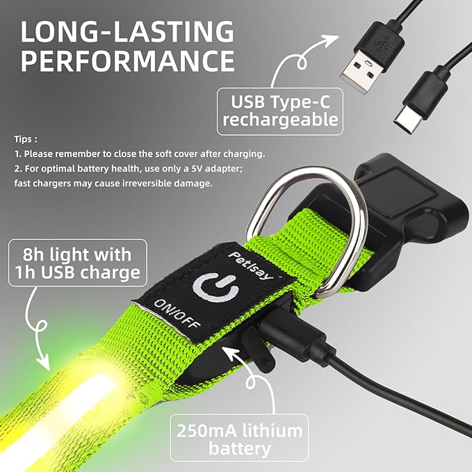 LED Dog Collar for Small Dogs Cats - Fully Waterproof & Adjustable Glow Collar - USB-C Rechargeable for Night Walking, Safety - Flashing Lighted Collar for Dogs(Green,XS)