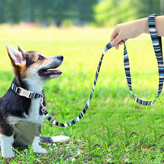 Personalized Dog Collar Leash Nylon Print Small Dog Collars and Lead for Small Medium Large Pet Pitbull German Shepherd Puppy Blue Strip L S