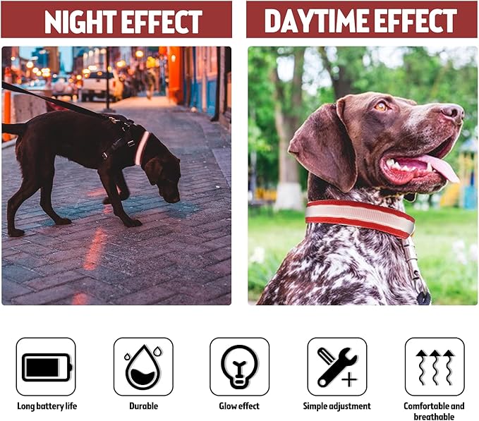 LED Dog Collar, Reflective Dog Collar, USB Rechargeable with 100% Waterproof Luminous Collar, Suitable for Medium and Large Dogs (Red, M)