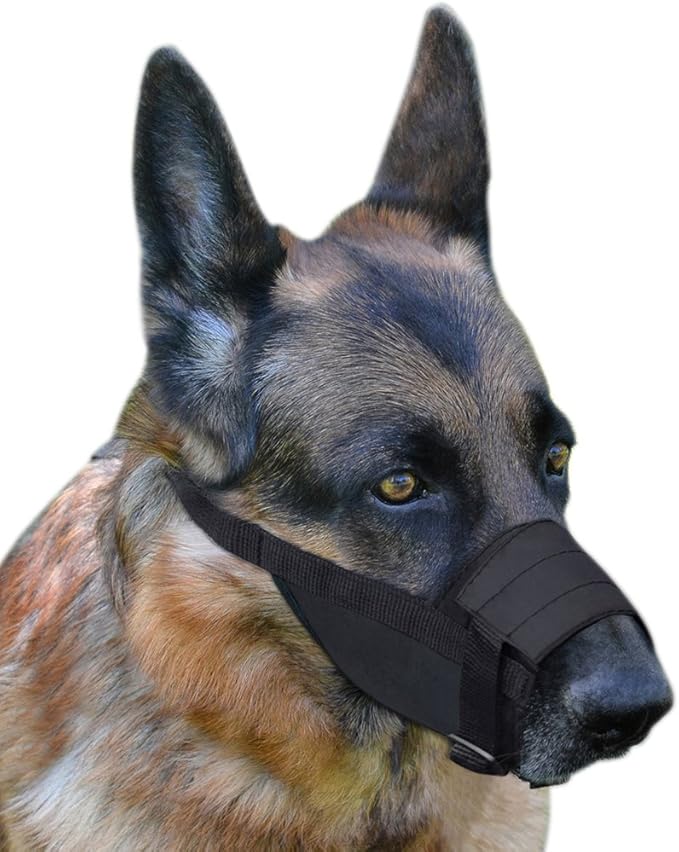 CollarDirect Nylon Dog Muzzle - Adjustable Soft Breathable Nylon Dog Mouth Guard Cover for Small, Medium and Large Dogs, Anti Chewing, Barking & Biting (M/L, 2 Black)