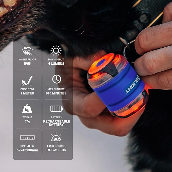 OLIGHT Gober 2 Safety Light, High Visibility Beacon LED with 6 Color Settings and 4 Lighting Modes, USB-C Rechargeable Flashing Warning with Clip for Running, Cycling, Camping, Dog Walking(Blue)