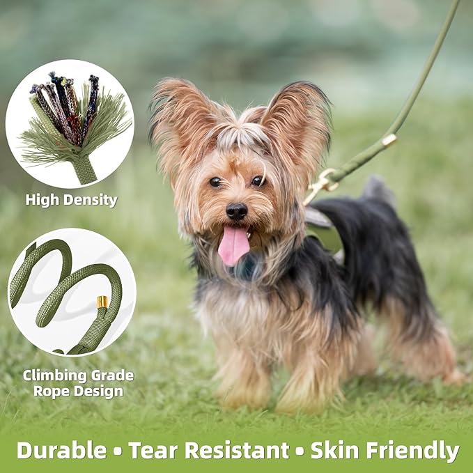 Durable Handwoven Dog Leash for Small & Medium Dogs, 5/16 inch Rope Lead with Anti-Tangle Swivel Clip, Soft & Lightweight, 5FT Long – Ideal for Daily Walking & Training (Misty Green)