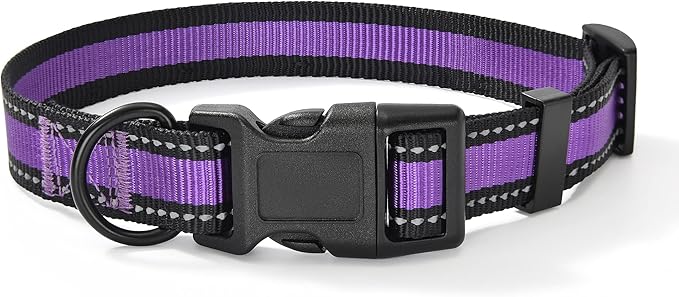 Mile High Life Dog Collar | Nylon Reflective Dog Collars | Light Weight Puppy Collars | Purple Dog Collars for Large Dogs (Purple, Large)