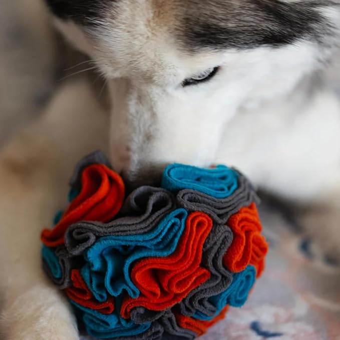 Messy Mutts Round Forage Ball | 6” x 6” Snuffle Ball Puzzle for Dogs | Stimulating Sniffing Interactive Puzzle for Dogs