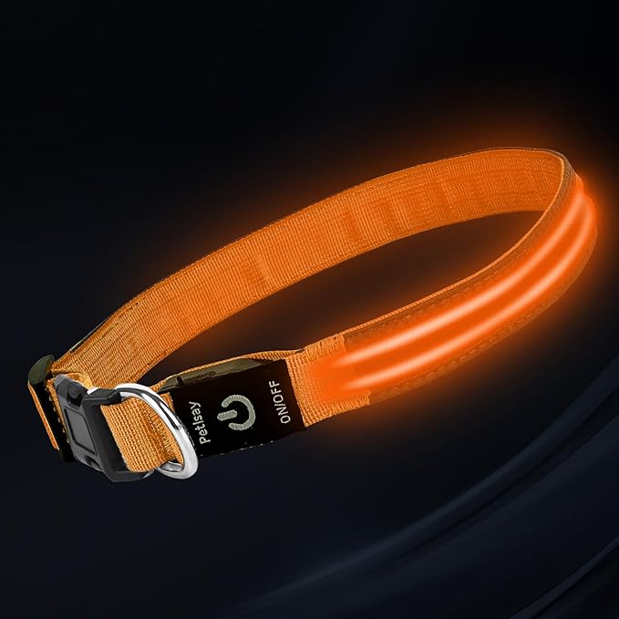 PetIsay Dog Light up Collar for Night Walking - High Visibility LED Dog Collar - Rechargeable - Waterproof - Reflective - Adjustable Lighted Glow Collars(Orange, XLarge)