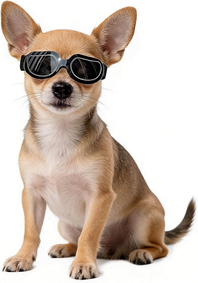 Namsan Dog Goggles Small Breed, Anti-UV Sunglasses for Dogs Small Breeds, Windproof Riding Dog Eye Protection, Yorkie Glasses with Elastic Straps, Easy Put-on/Adjustable, Bright Black