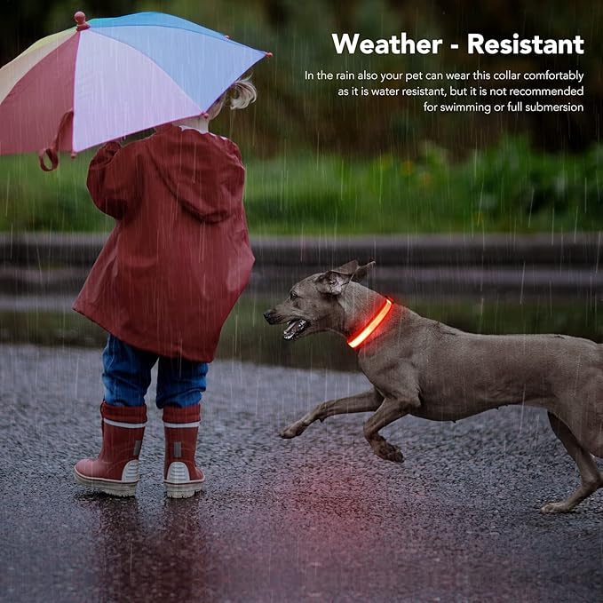 LED Light Up Dog Collars Micro USB Rechargeable Waterproof, Full Adjustable Lighted Glow Dark Dog Collar Light for Night Walking for Small Medium Large Dogs, Red