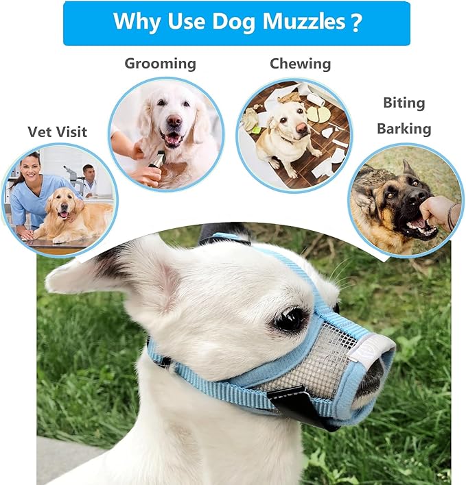 Dog Muzzle for Small Dogs XS for Grooming Barking Chewing, Barkless Soft Mesh Muzzles to Prevent Eating Poops,Best for Aggressive Dogs (Breathable-Blue)