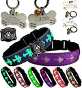 Pet Collar with AirTag Holder and ID Tag, 15 Lighting Modes, Waterproof Cross Pattern Design, Multiple Colors (Purple, M(11.8-15.7"))