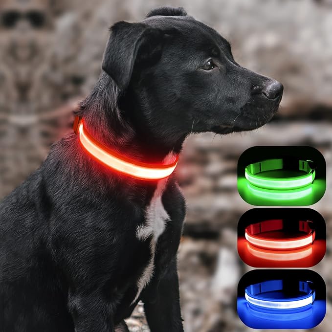 BSEEN Light Up Dog Collar, Super Bright LED Dog Collar Rechargeable Adjustable Pet Collar Glowing Safety Dog Lights for Night Walking (Ruby Red, X-Large)