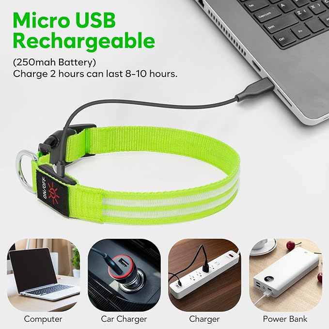 BSEEN Light Up Dog Collar - High Visibility LED Dog Collar Rechargeable, Double Line Fiber Optic Glow in The Dark Dog Collars, Safety Dog Lights for Night Walking (Green, Large)