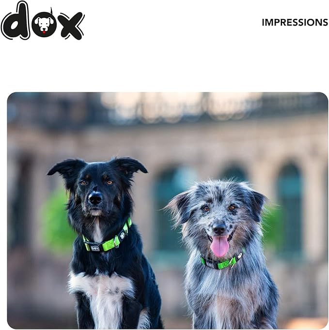 DDOXX Dog Collar Air Mesh, Adjustable, Padded | Many Colors & Sizes | for Small, Medium & Large Dogs | Collars cat Puppy pet Kitten | Black, XS
