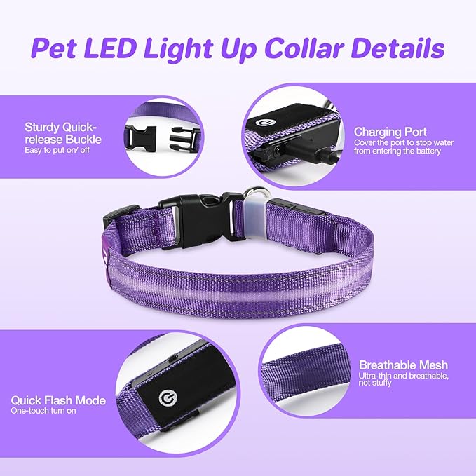 RUXAN Light Up Dog Collar,Dog Lights for Night Walking,LED Collars Waterproof,Glow Dog Collars Rechargeable,Dog Collars Light for Small,Medium,Large Dogs (Large,Purple)