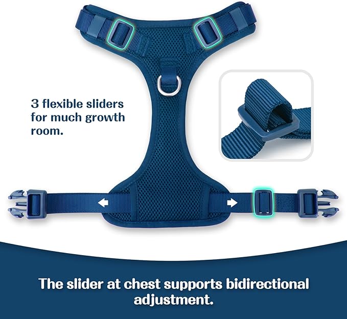 No Pull Dog Harness for Small Medium Large Dogs - Adjustable 2 Layer Mesh Dog Vest with Dual Clip, Escape Proof, Quick Release, Lightweight Breathable Mesh for Walking Hiking (Prussian Blue,S)