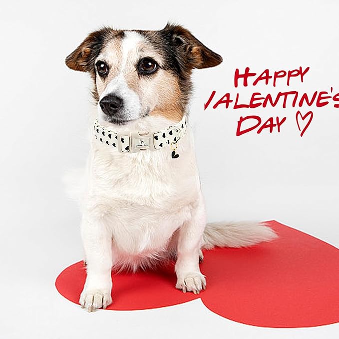 Lionheart glory Valentine's Dog Collar-Hearts Print Dog Collar for Large Cute Dog Collars Spring Female Male Pet Adjustable Heavy-Duty Soft Collar Holiday