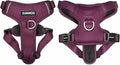 DJANGO Tahoe No Pull Dog Harness – Escape-Proof Dog Harness for Large Dogs with Front & Back Clips for Everyday Use – Adjustable, Padded, Reflective, Secure Fit, Easy On/Off – Raspberry Purple, XL