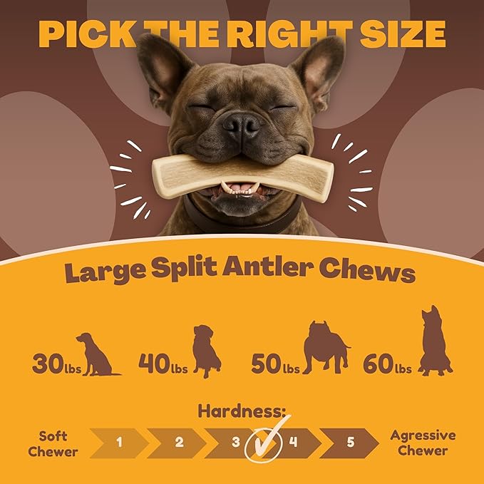 WhiteTail Naturals - Split Antlers for Large Dogs - (2 Pack- Large) - Naturally Shed, Long Lasting Dog Antler Horn - Tough Chew Bones for Aggressive Chewers