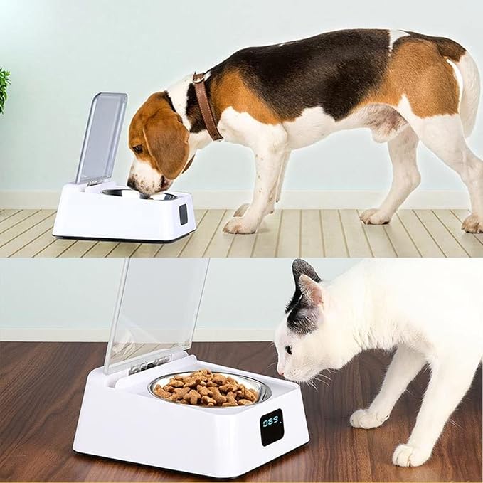 Open Lid Pet Feeder, Automatic Smart Cat Feeder Bowl Prevent Slip IR Induction for Small Pet