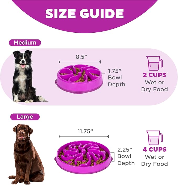 Outward Hound Medium Slow Feeder Bowl, Puzzle Maze for Fast Eaters, Small to Medium Dogs, Helps Prevent Bloat & Aid Digestion, Holds 2 Cups Wet or Dry Food, Non-Slip, Made Without BPA, Purple