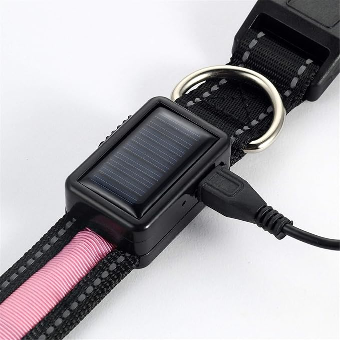 Avaner Reflective Dog Collar, Solar/USB Charging LED Light-up Pet Collar, Adjustable Nylon Collar for Dog